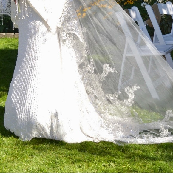 Veil - Picture 3 of 4